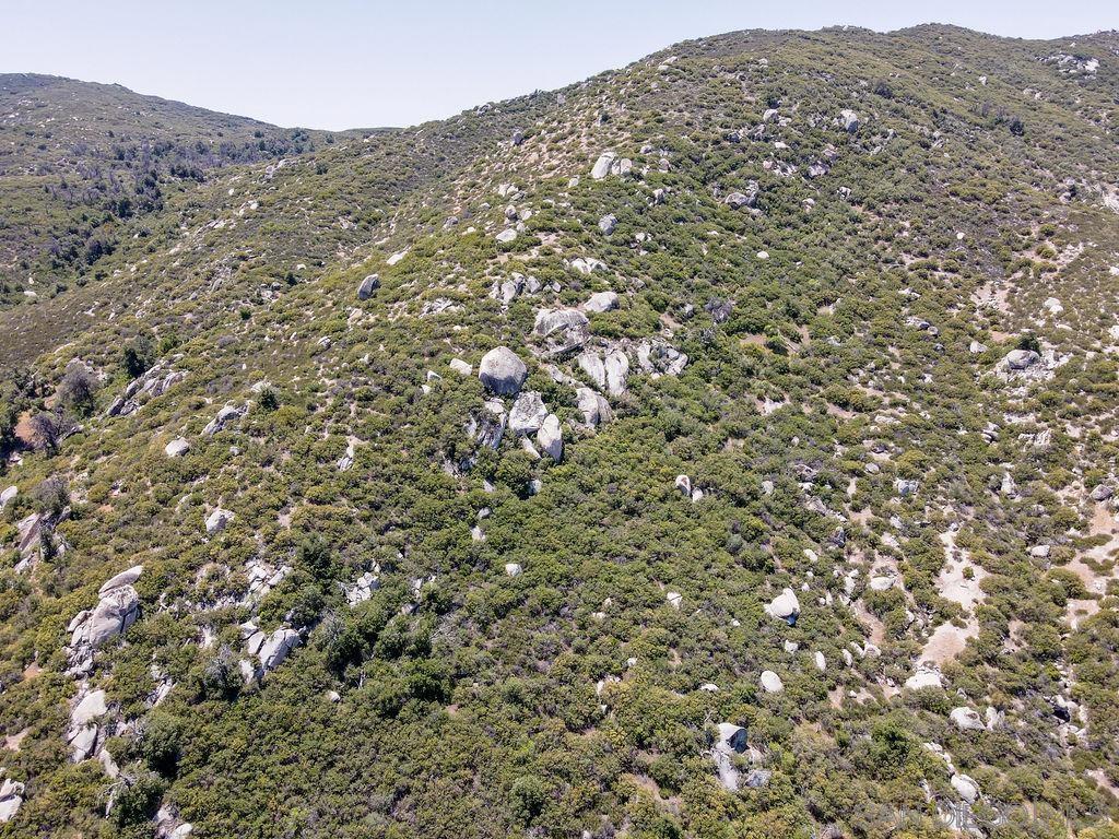 0 Highway 79 Property Photo