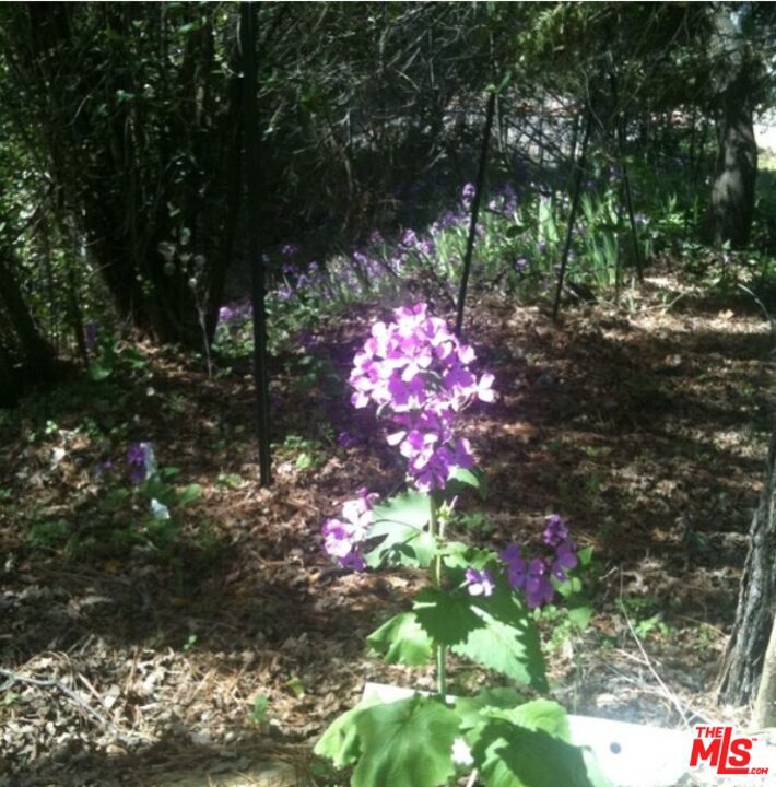 2985 Clay Street Property Photo 29