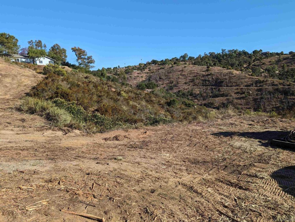 13723 Pauma Vista Dr Property Photo 6