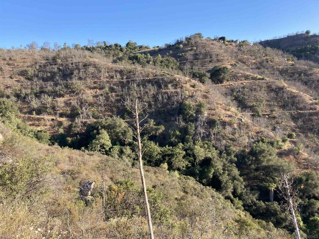 13701 Pauma Vista Dr Property Photo 4
