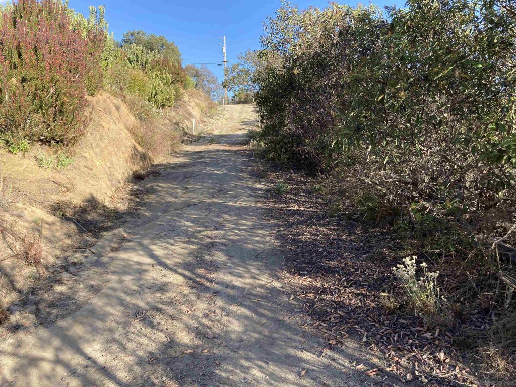 13701 Pauma Vista Dr Property Photo 12