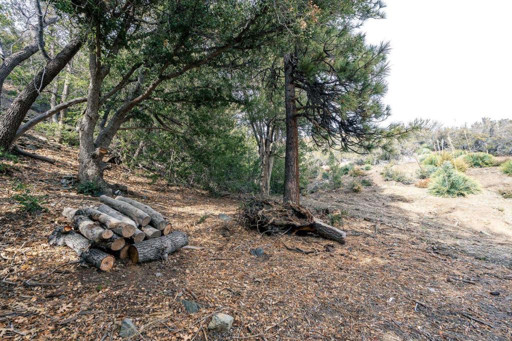 0 Timberline Dr Property Photo 3