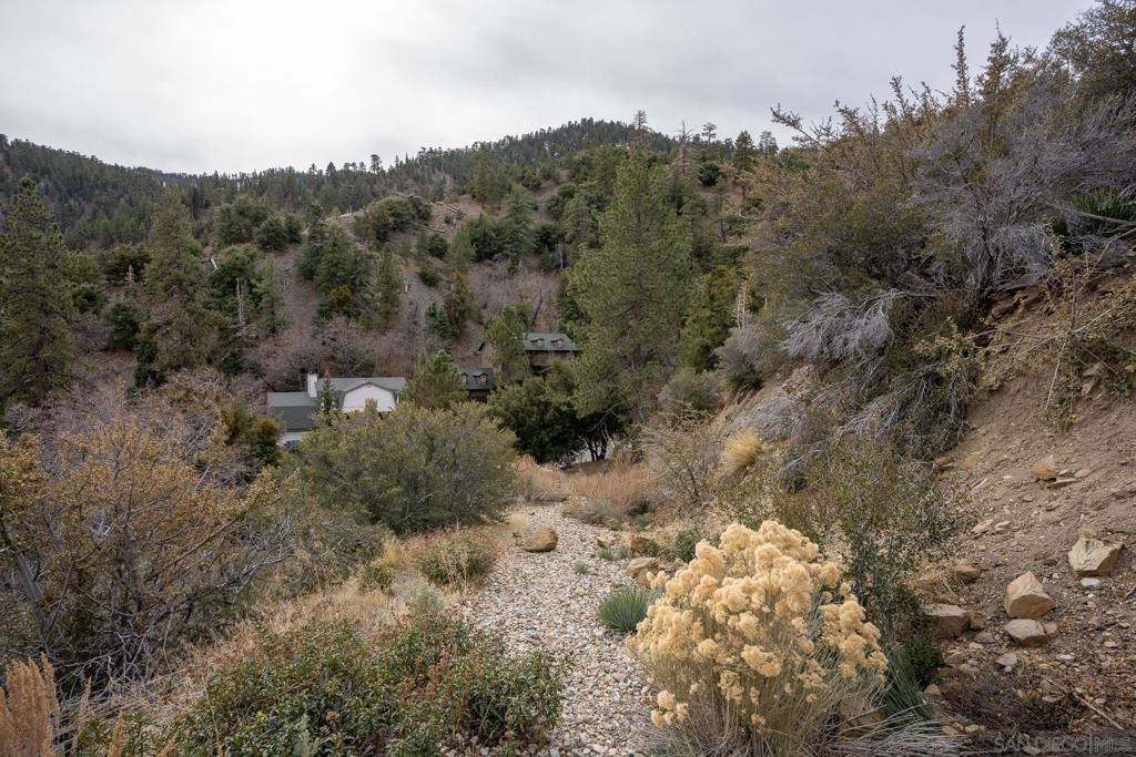 0 Timberline Dr Property Photo 15