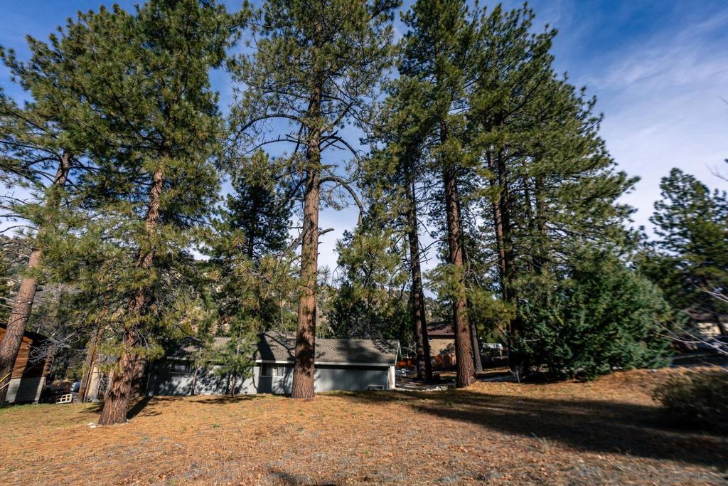 0 Timberline Dr Property Photo 19