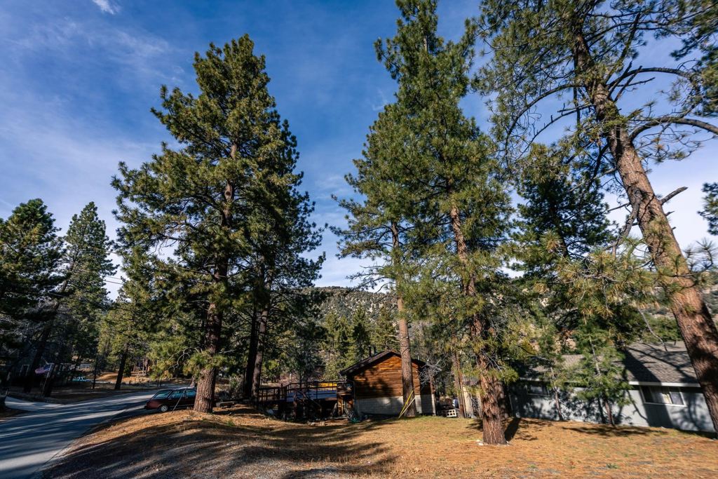 0 Timberline Dr Property Photo 20