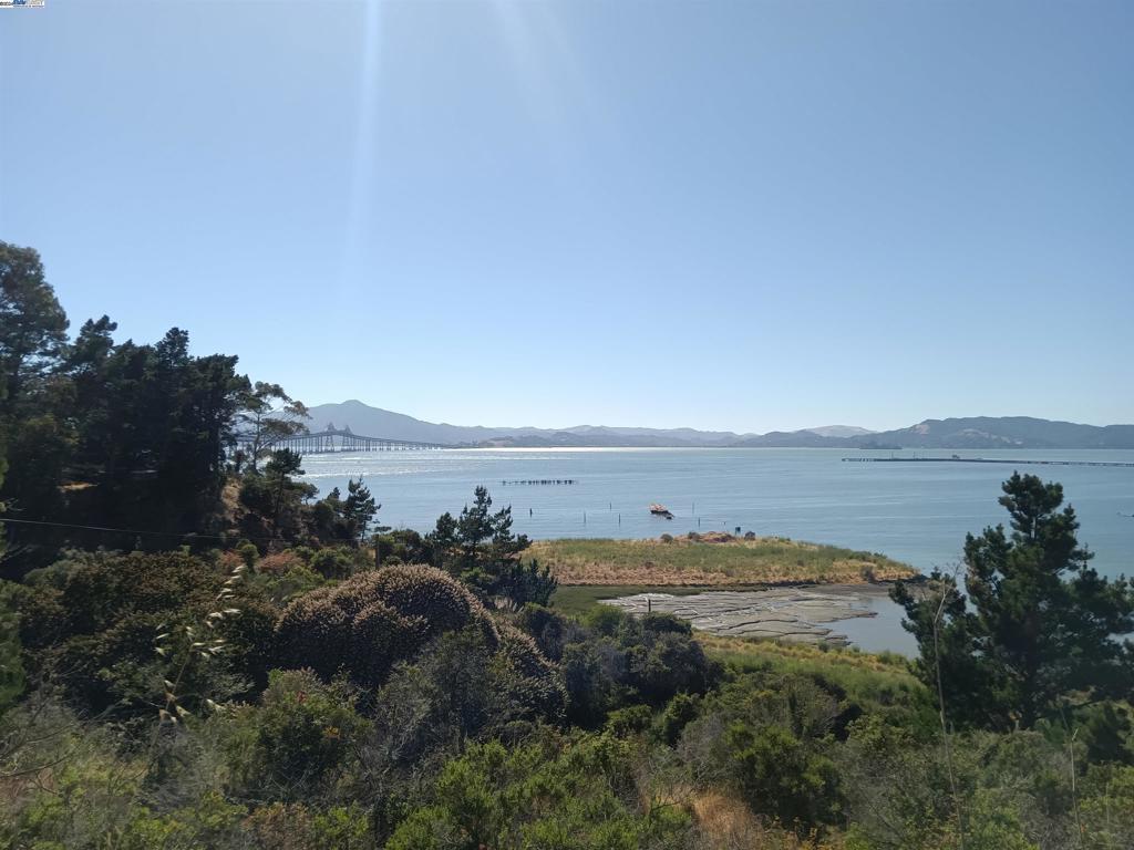 0 Castro Point