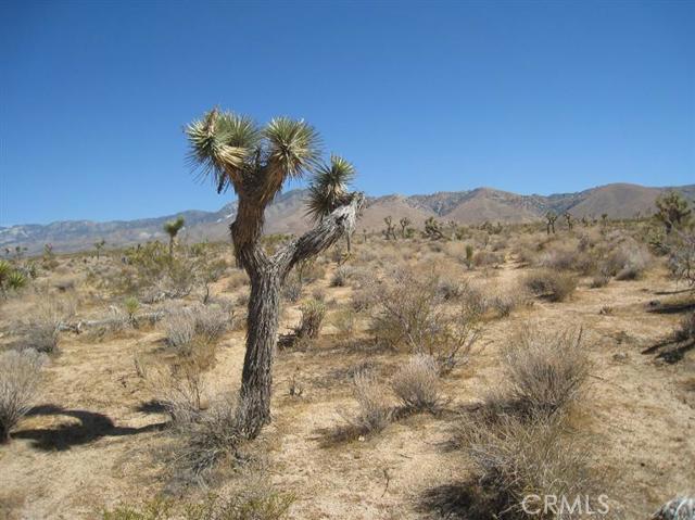 0 Apn 0435 311 55 0000 Road Property Photo