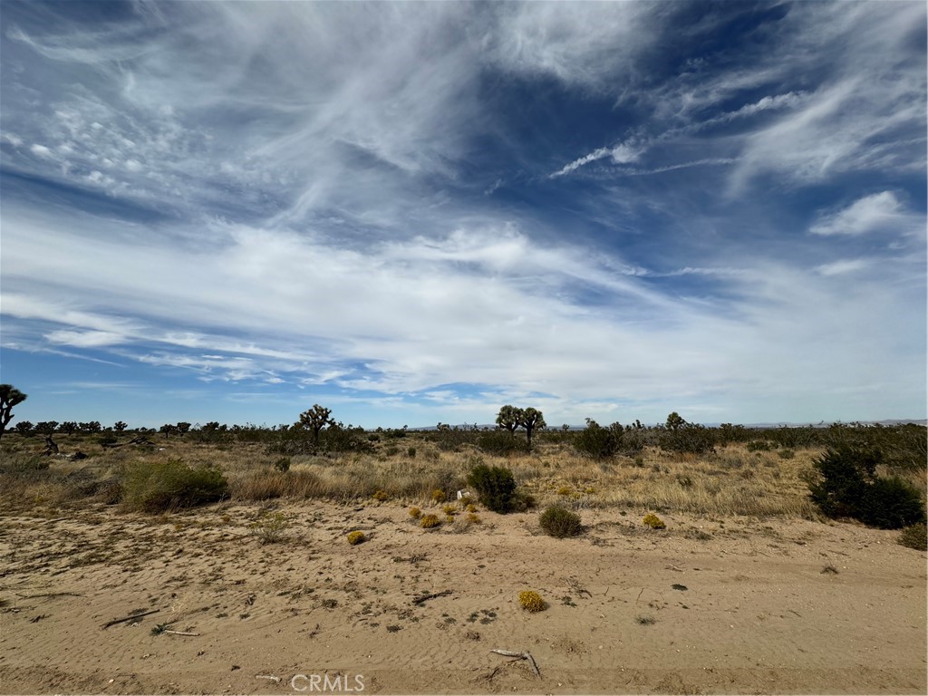 0 Mono Road Property Photo 1