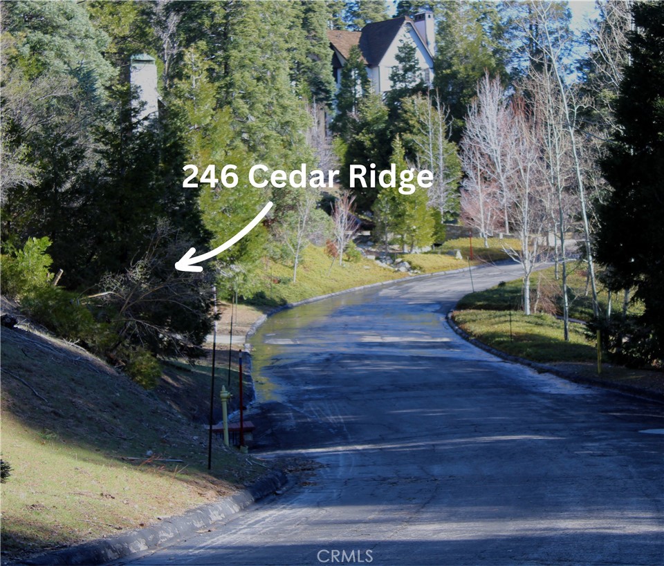 246 Cedar Ridge Drive Property Photo
