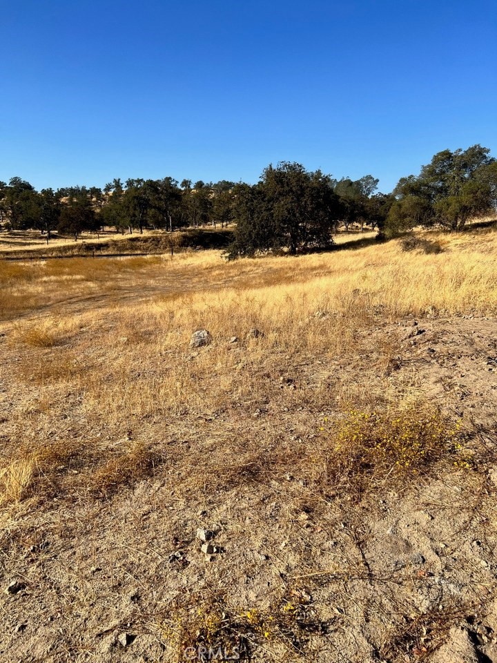0 Lot 1 Sunflower Lane Property Photo