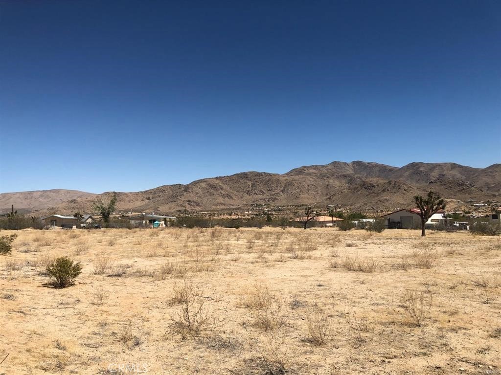 0 Cuyama Road Property Photo 1