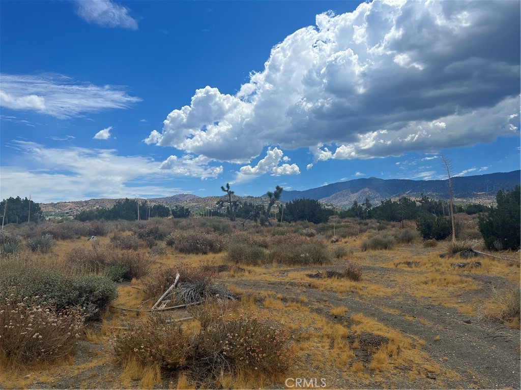 0 Cambria Property Photo 1