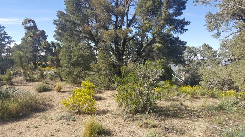 0 Scenic Creek Drive Property Photo 1