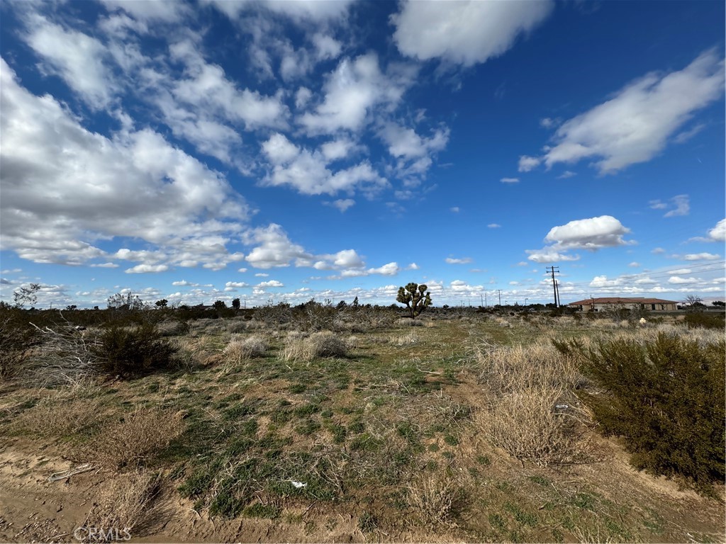 0 Joshua Road Property Photo 1