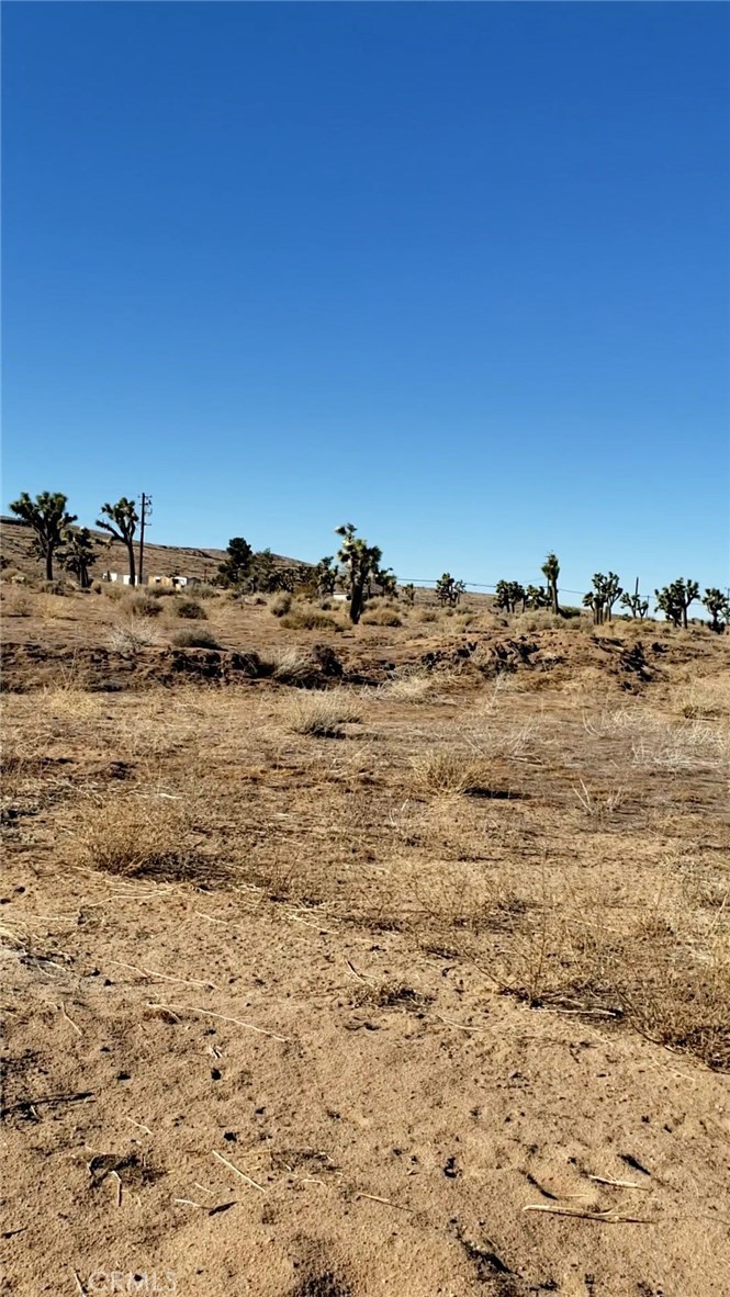 56825 Sun Oro Drive Property Photo 4