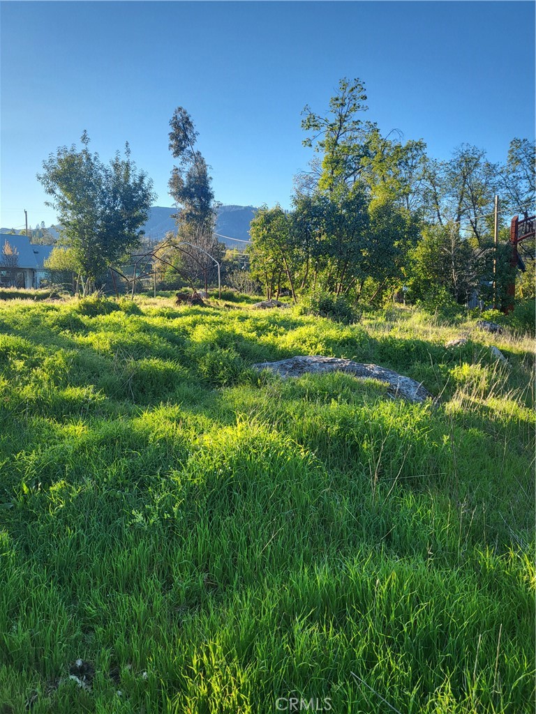 12235 Anderson Springs Road Property Photo 1