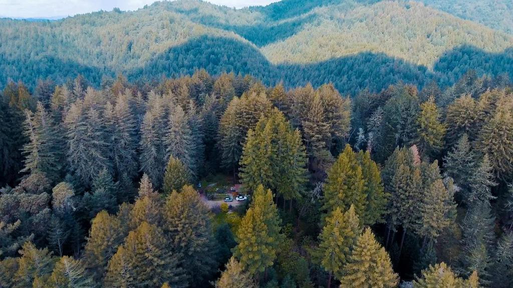 6121 Fern Flat Road Property Photo
