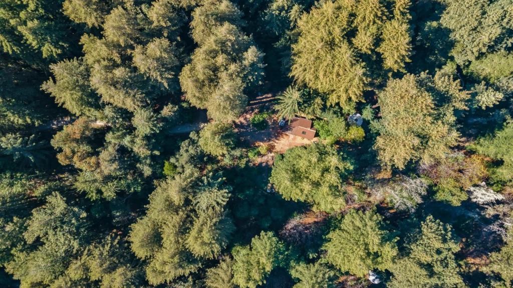 6121 Fern Flat Road Property Photo 2