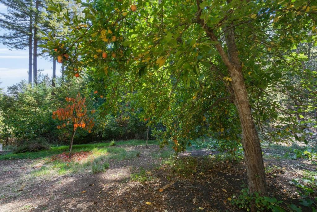 6121 Fern Flat Road Property Photo 21