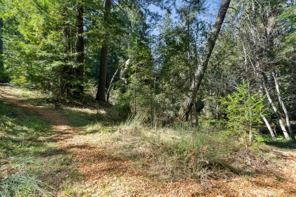 6121 Fern Flat Road Property Photo 29