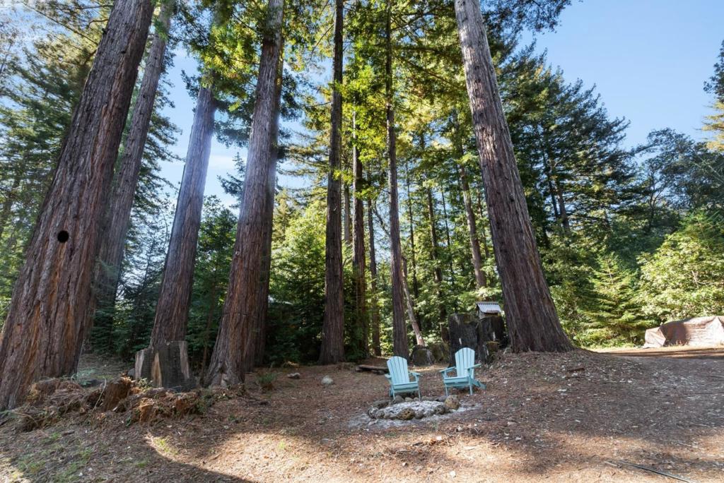 6121 Fern Flat Road Property Photo 38