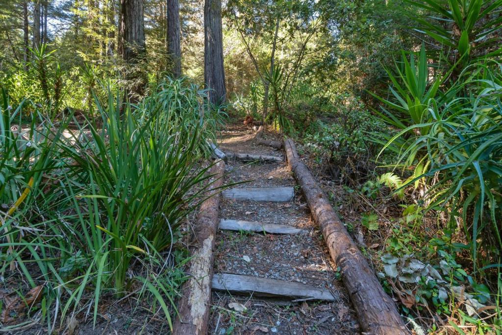 6121 Fern Flat Road Property Photo 39