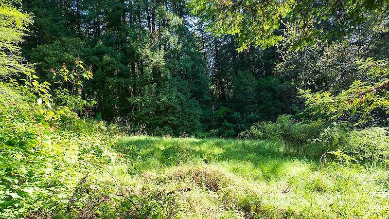 6121 Fern Flat Road Property Photo 43