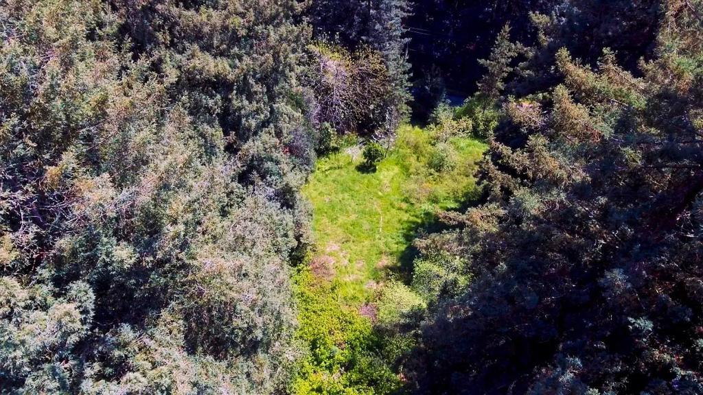 6121 Fern Flat Road Property Photo 44