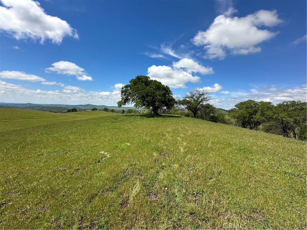 3869 Old Toll Road Property Photo