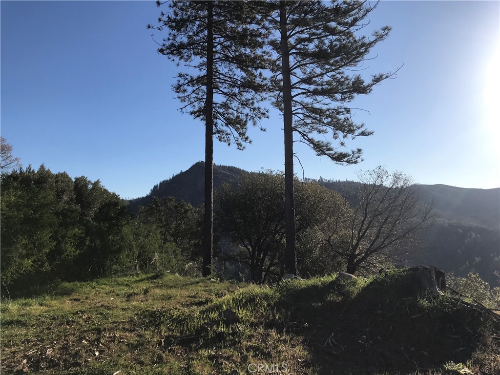 13660 Skyway Property Photo 1