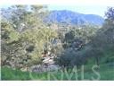 0 High Cliff Trail Property Photo 5