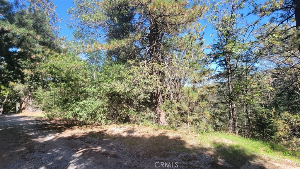 0 Highland Drive Property Photo 1