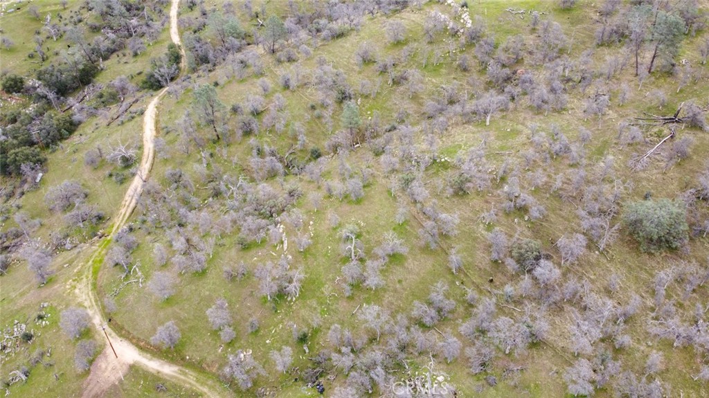 37749 Misty Ridge Road Property Photo 11