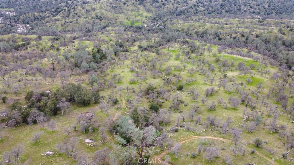 37749 Misty Ridge Road Property Photo 15