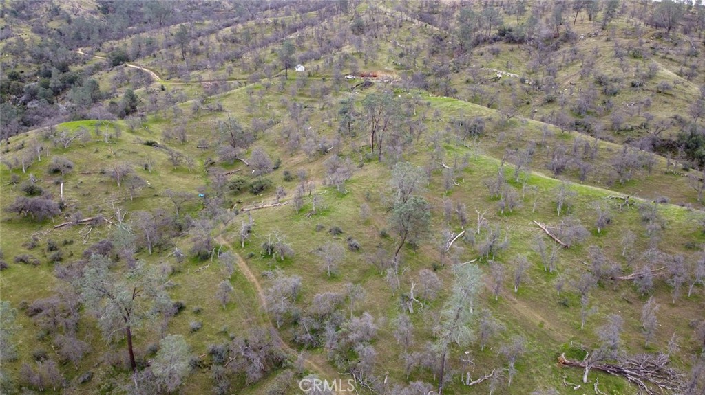 37749 Misty Ridge Road Property Photo 16