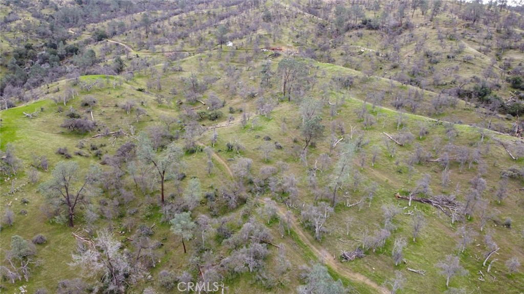 37749 Misty Ridge Road Property Photo 17