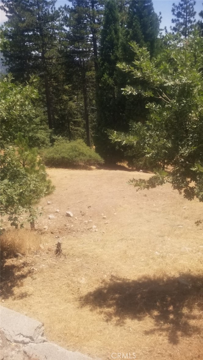 31533 Circle View Drive Property Photo 2