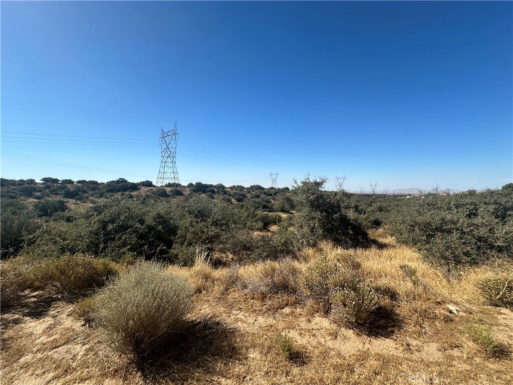 0 Mesquite Road Property Photo 3
