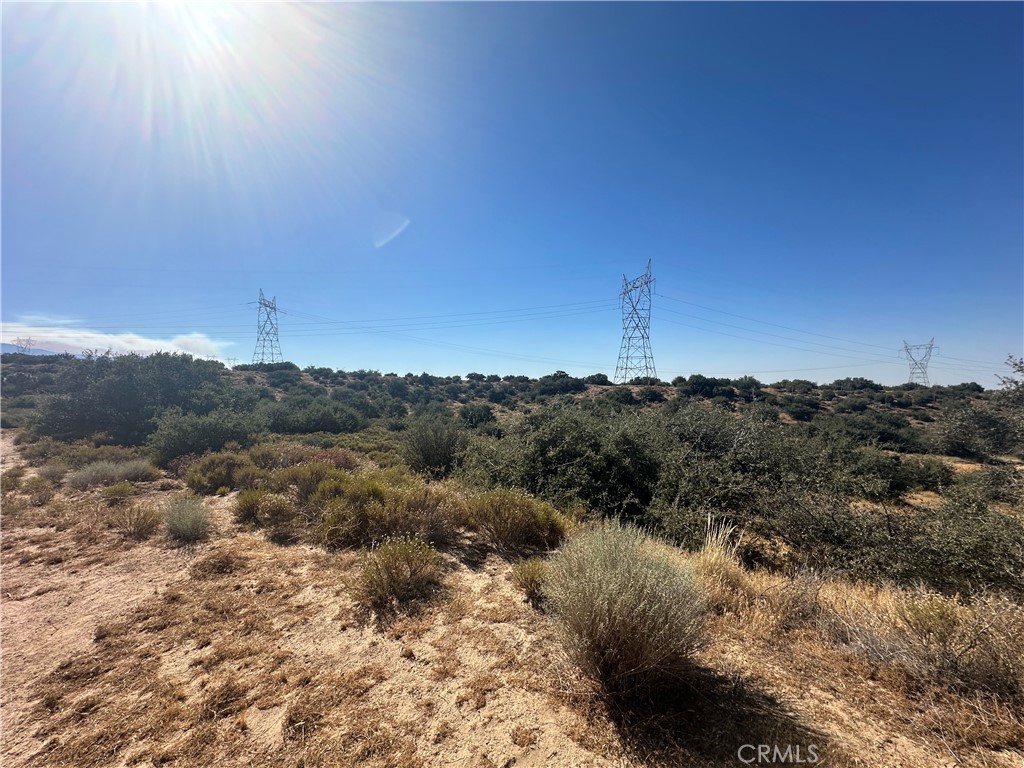 0 Mesquite Road Property Photo 4