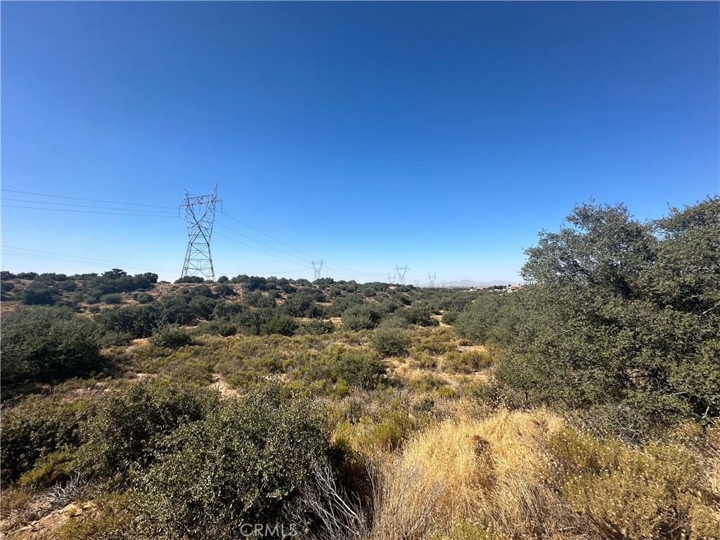 0 Mesquite Road Property Photo 6