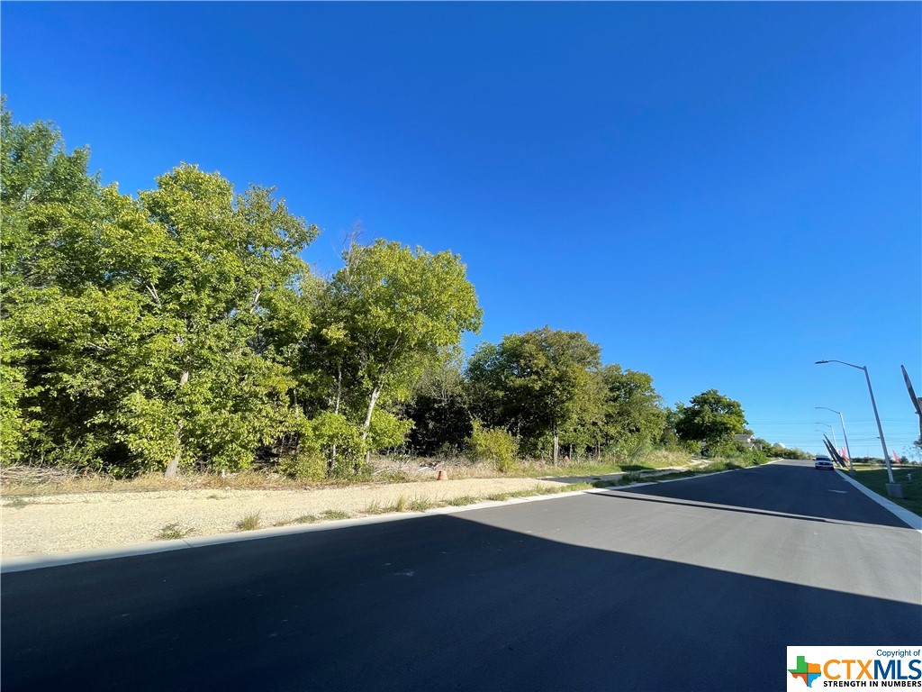 0 Wonder World Drive Property Photo