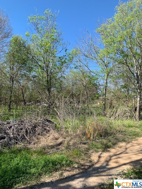 0 Wonder World Drive Property Photo 2