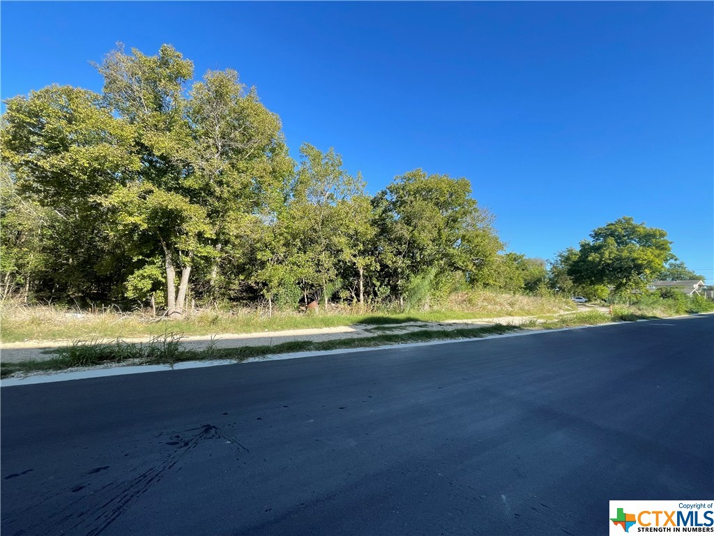 0 Wonder World Drive Property Photo 5