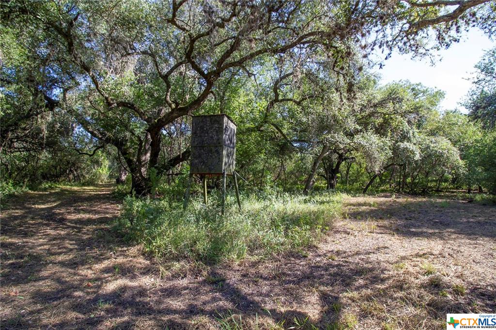 000 Cr 381 Property Photo 1