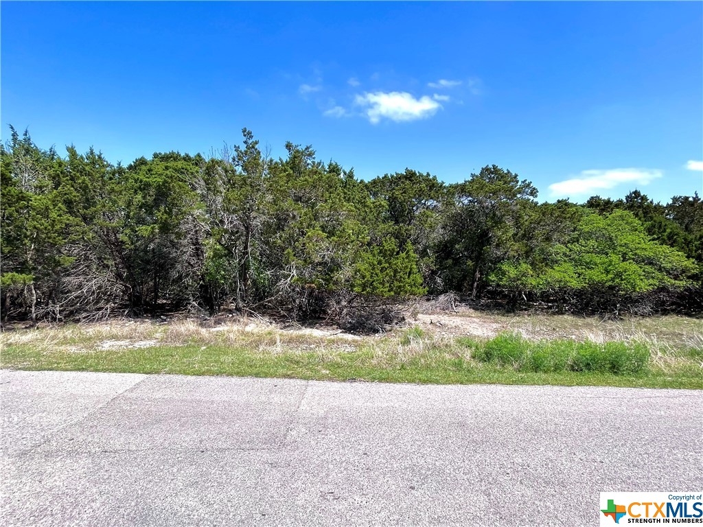 15992 Charlya Drive Property Photo 1