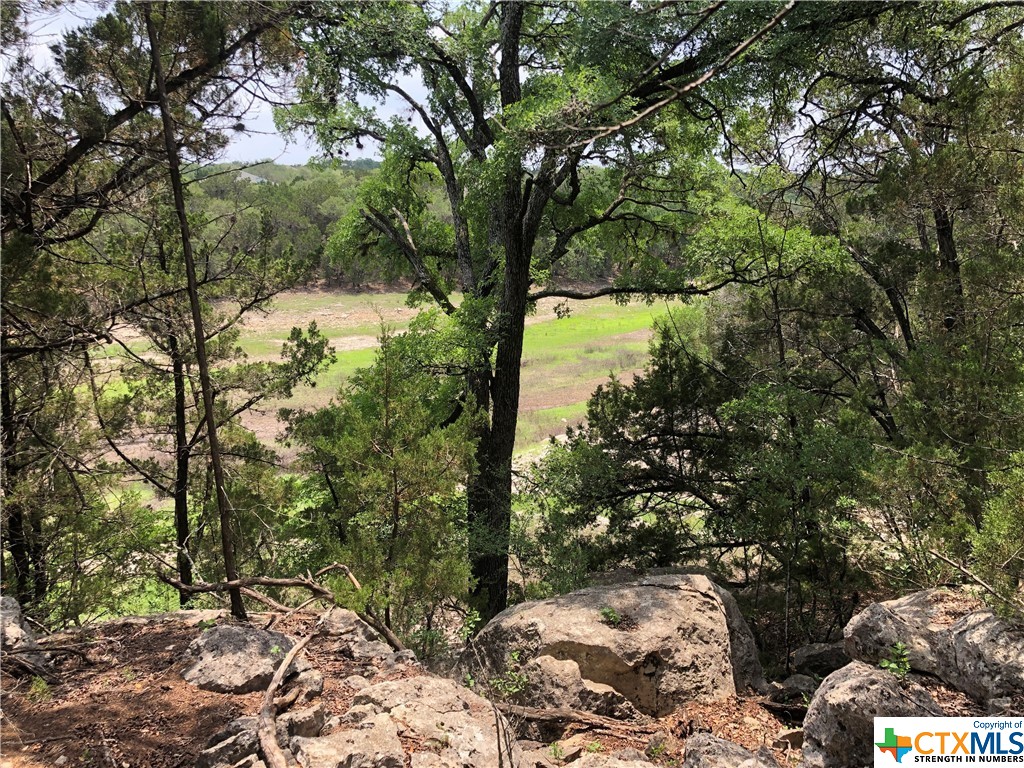 TBD Comanche Trail Property Photo 1