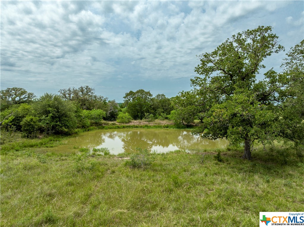 Tbd County Rd 405 Property Photo