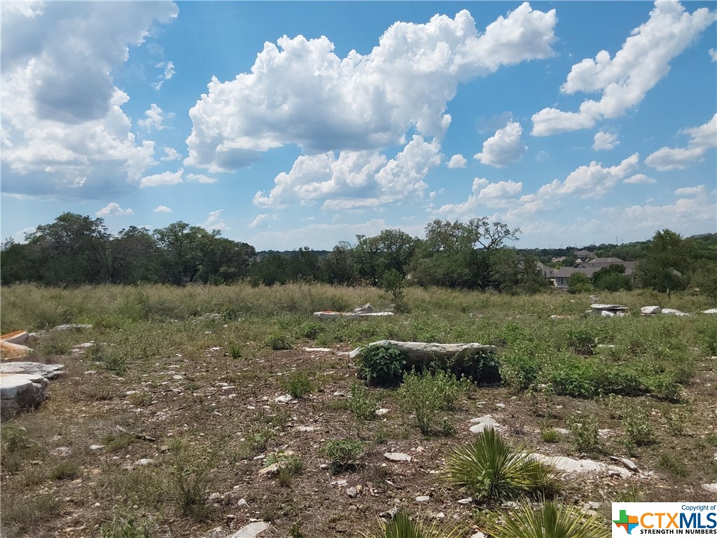 309 Eagle Basin Circle Property Photo 1