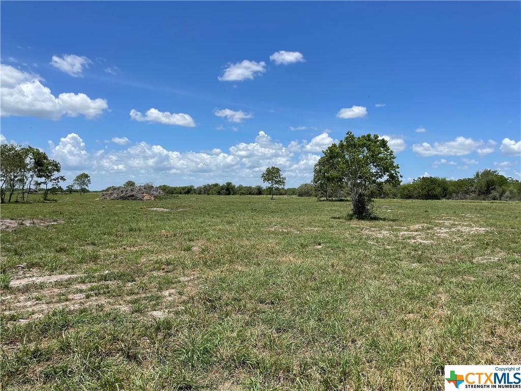 2324 Fm 1686 Property Photo 1
