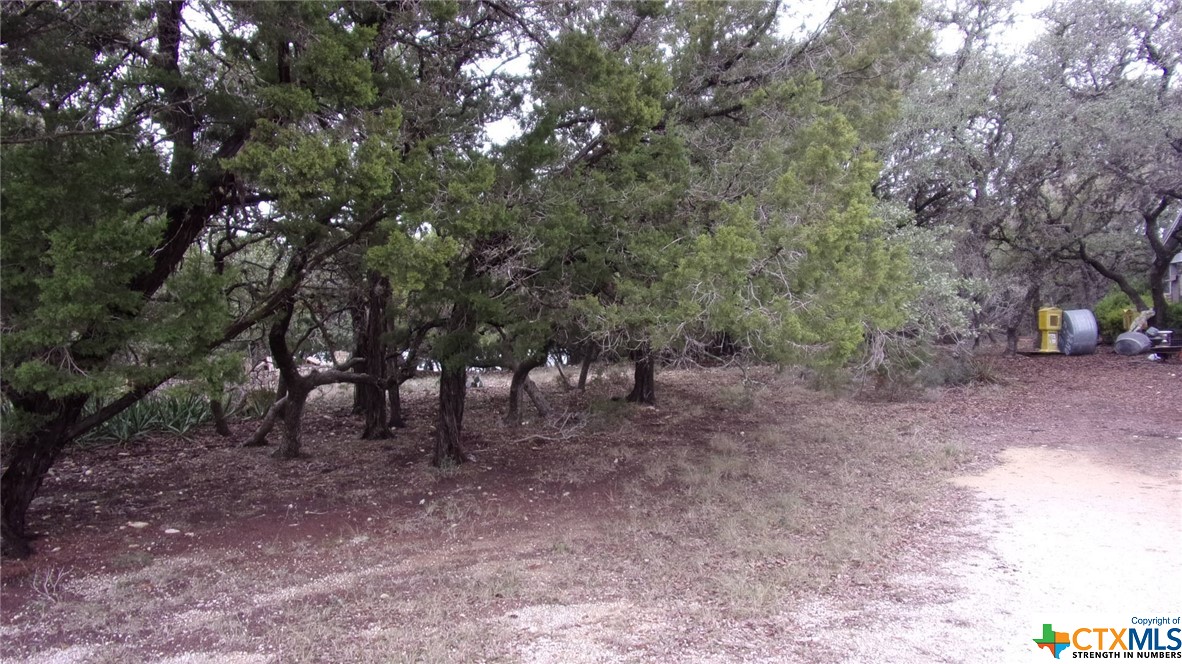 Lot 46 Mountain Wood Property Photo 1